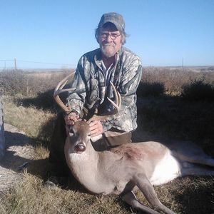 Meet your Posher, Dusty